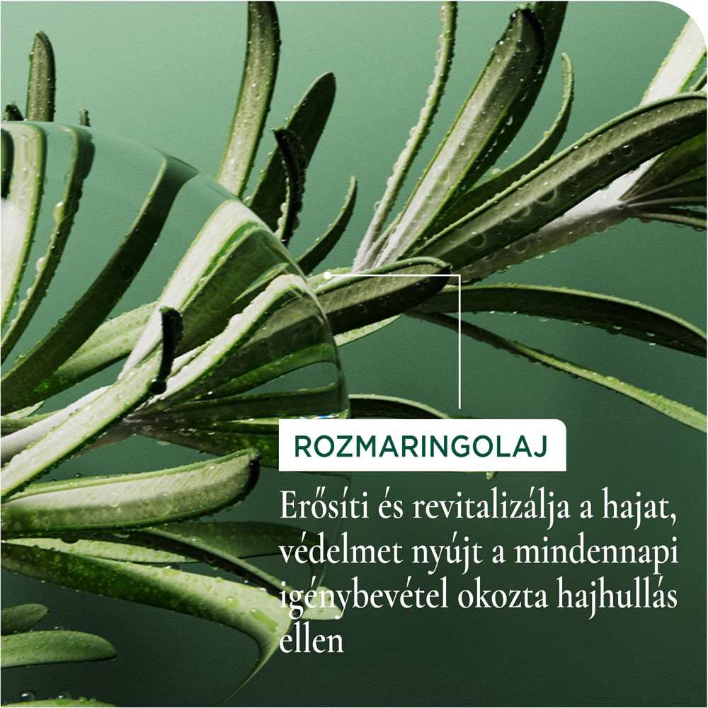 Rozmaringolaj hajápolásra, erősítő és revitalizáló hatású.