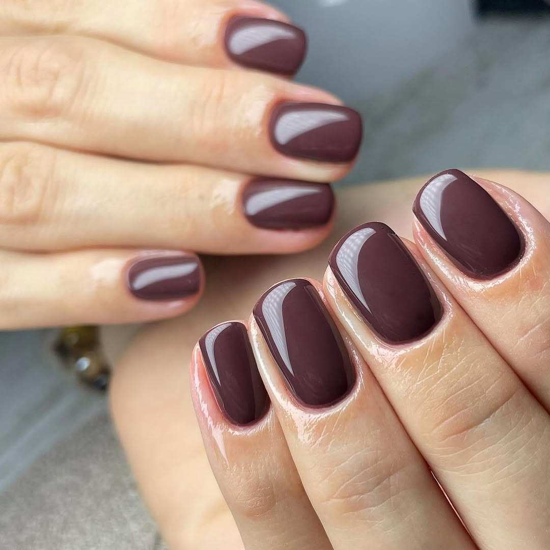 63113 140 Profinails Gel Lac 6g Web 800x800 1
