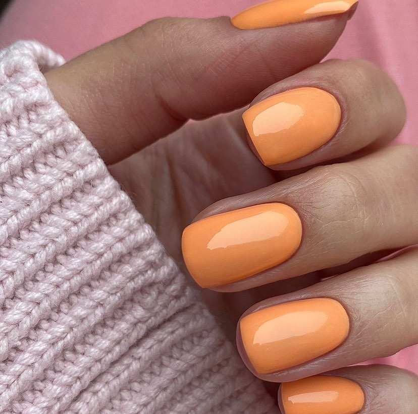 63132 159 Profinails Gel Lac 6g Web 800x800 1