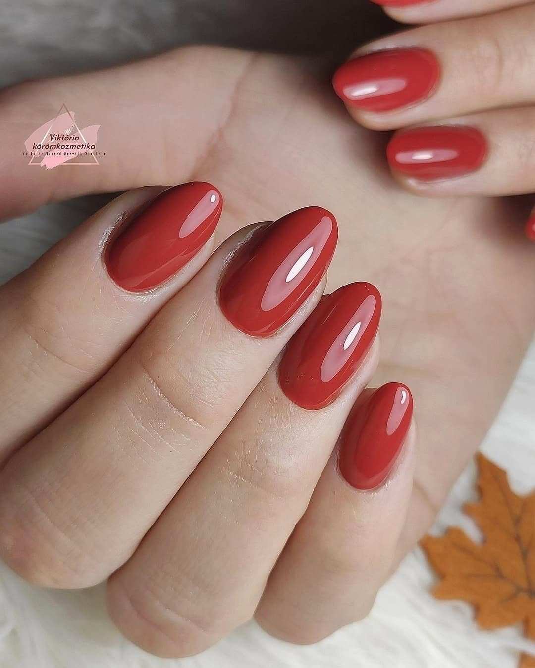 Őszi elegáns körmök, Profinails Gel Lac 164